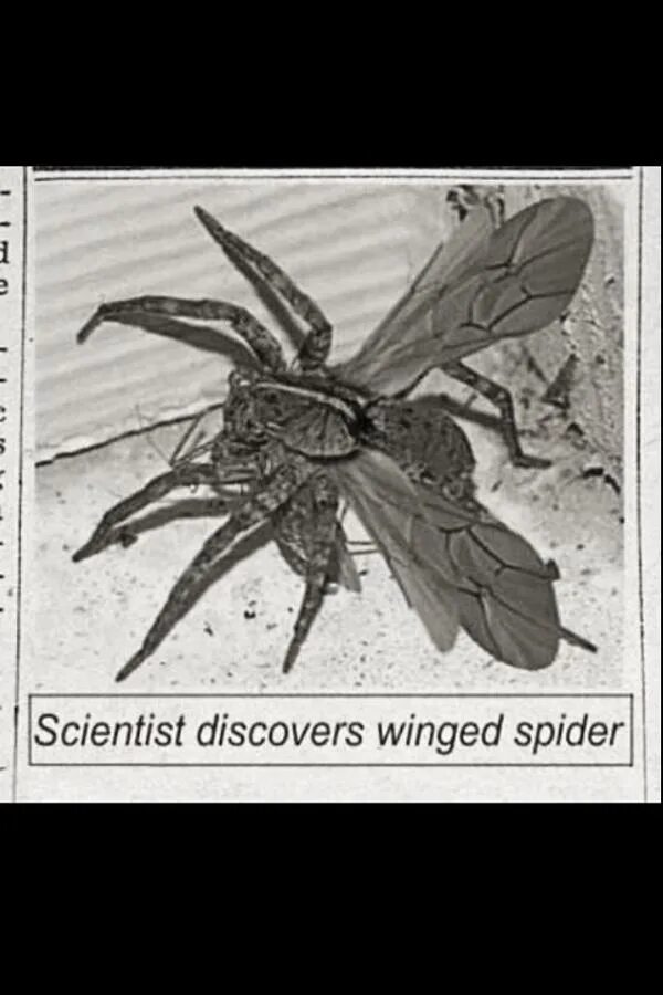 Scientists have discovered that