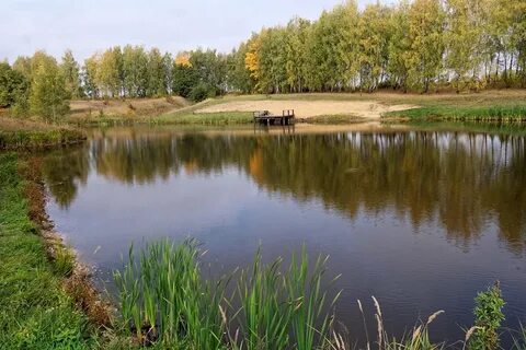 Поселок садовый тульская область