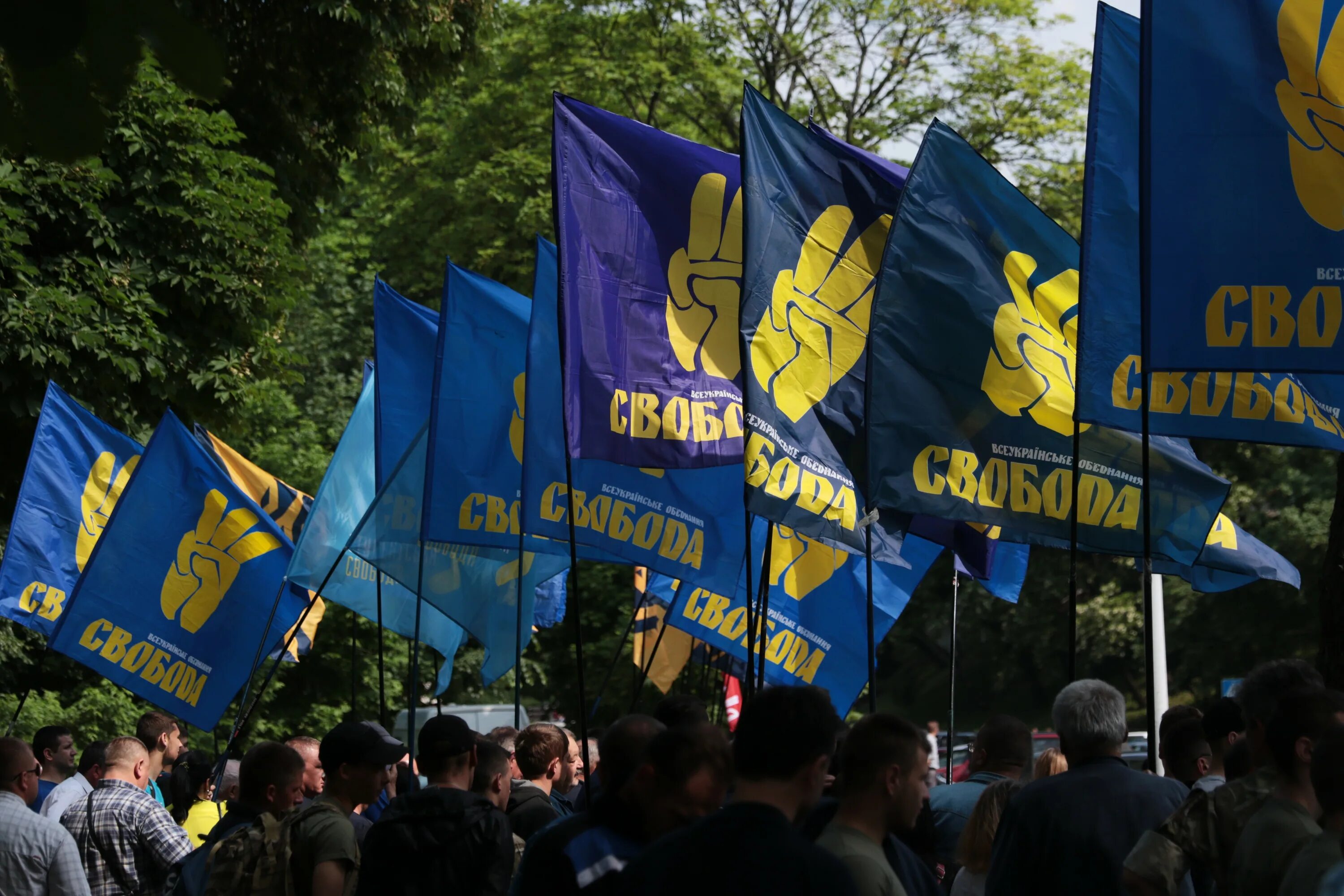 Всеукраинское объединение свобода. Свержение власти в киеве. Партия свобода. Партия свобода. Всеукраинское объединение свобода.