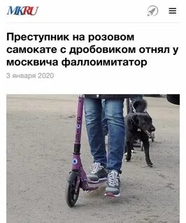 Нелепые новости