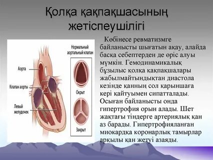 Гей және бисексуалдық порно