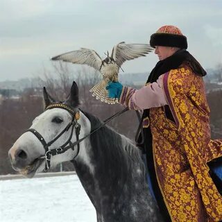 Сокольничий