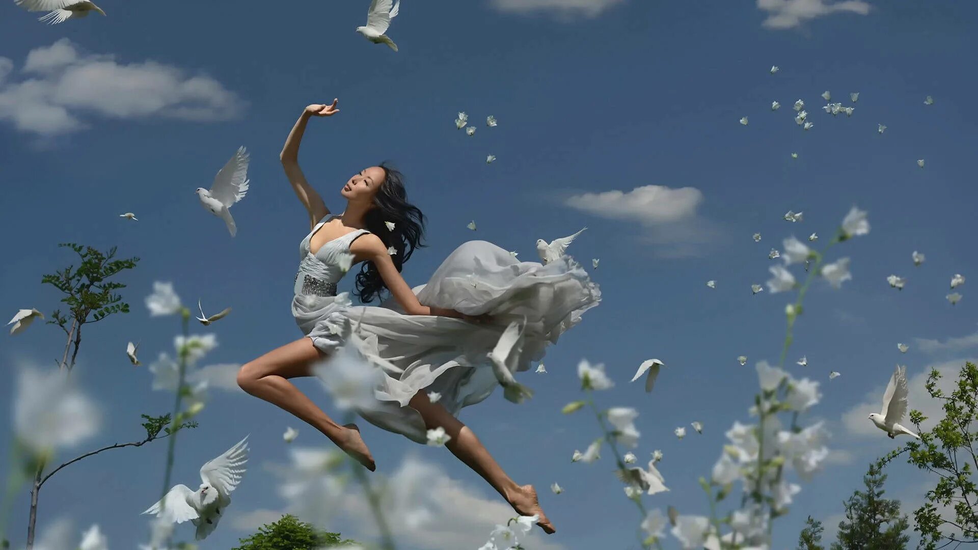 Танец белых голубей. Голубь взлетает. Равшании азулэ (ravshaniya). Белая птица. Драка голубей.