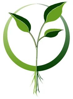 Botany