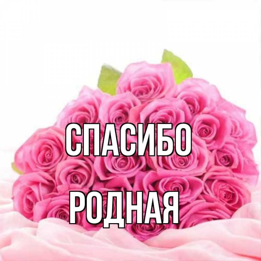Доброго дня наташенька
