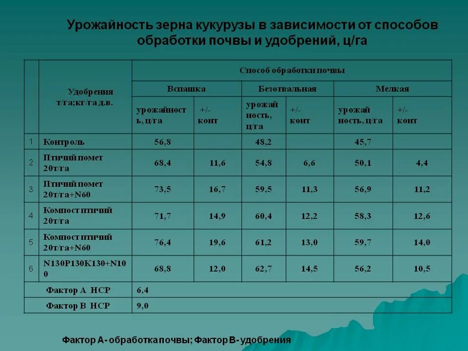 Вычислите средние урожайности зерновых. Урожайность кукурузы с гектара. Урожайность кукурузы на зерно. Средняя урожайность зерновых культур. Расчет урожайности зерна.