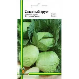 Сорт капусты сахарный хруст