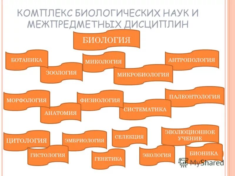 комплекс биологических наук