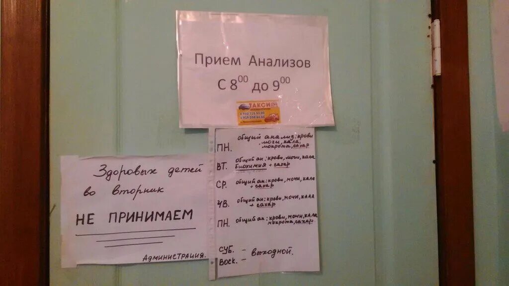 До скольких принимают анализы