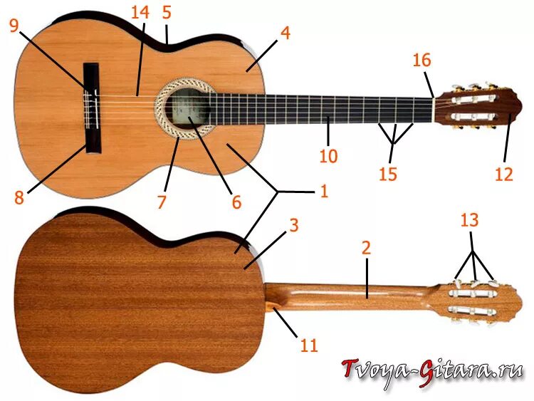 Гитара ленинградка 6 струнная акустическая гитара схема. Строение гитары акустической 6 струнной струны. Строение шестиструнной акустической гитары. Конструкция гитары классической.