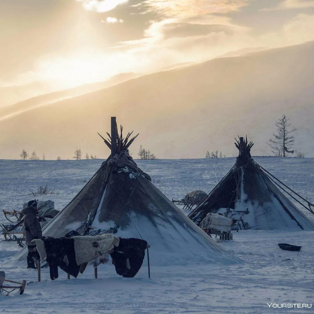 Ненецкий чум. Ненцы чумы. Ненцы чумы. Чум ненцев ямала. Ненцы чумы.