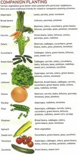 Grow vegetables перевод на русский