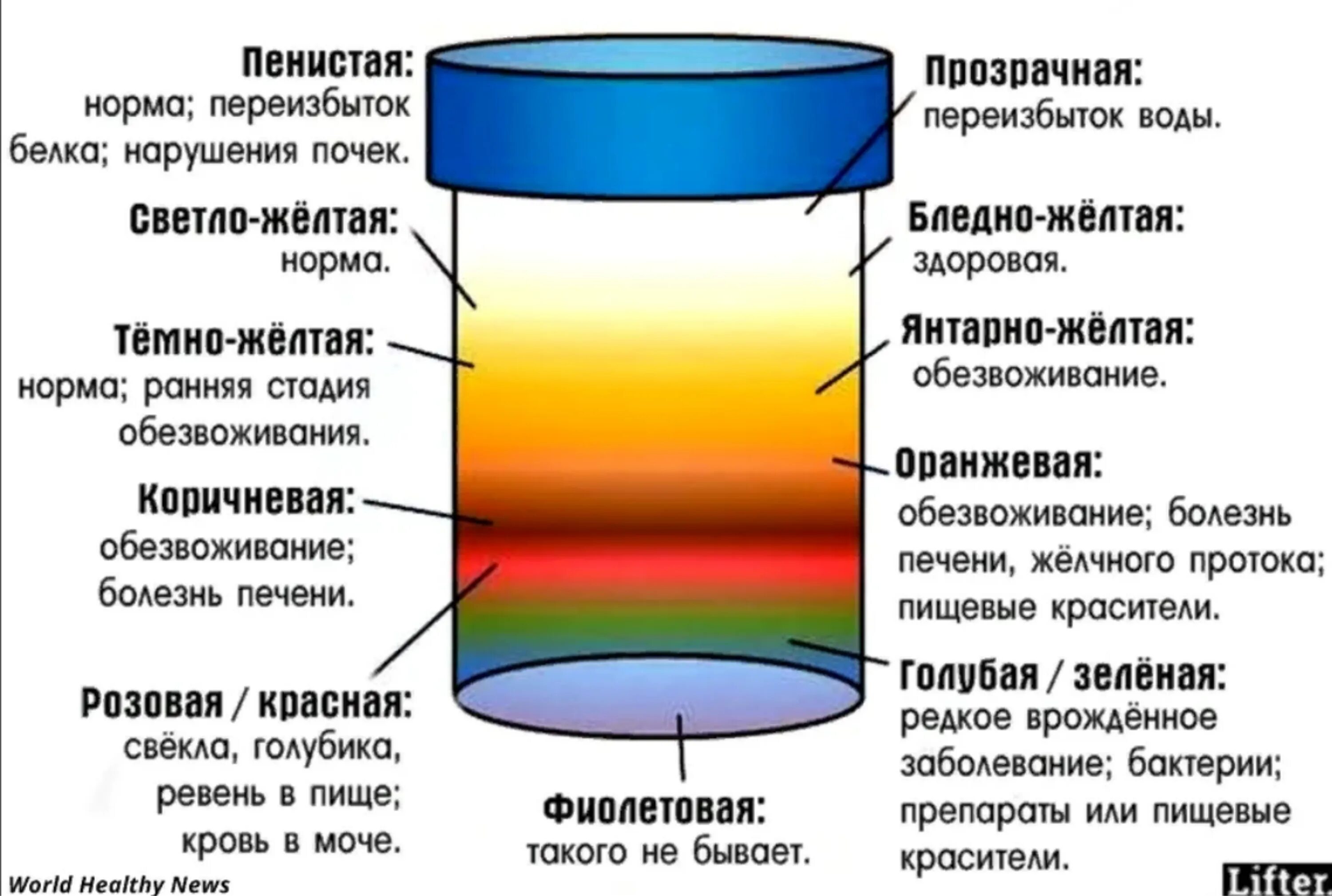 Нормальный цвет мочи у здорового человека и причины его изменений etamedicina.ru