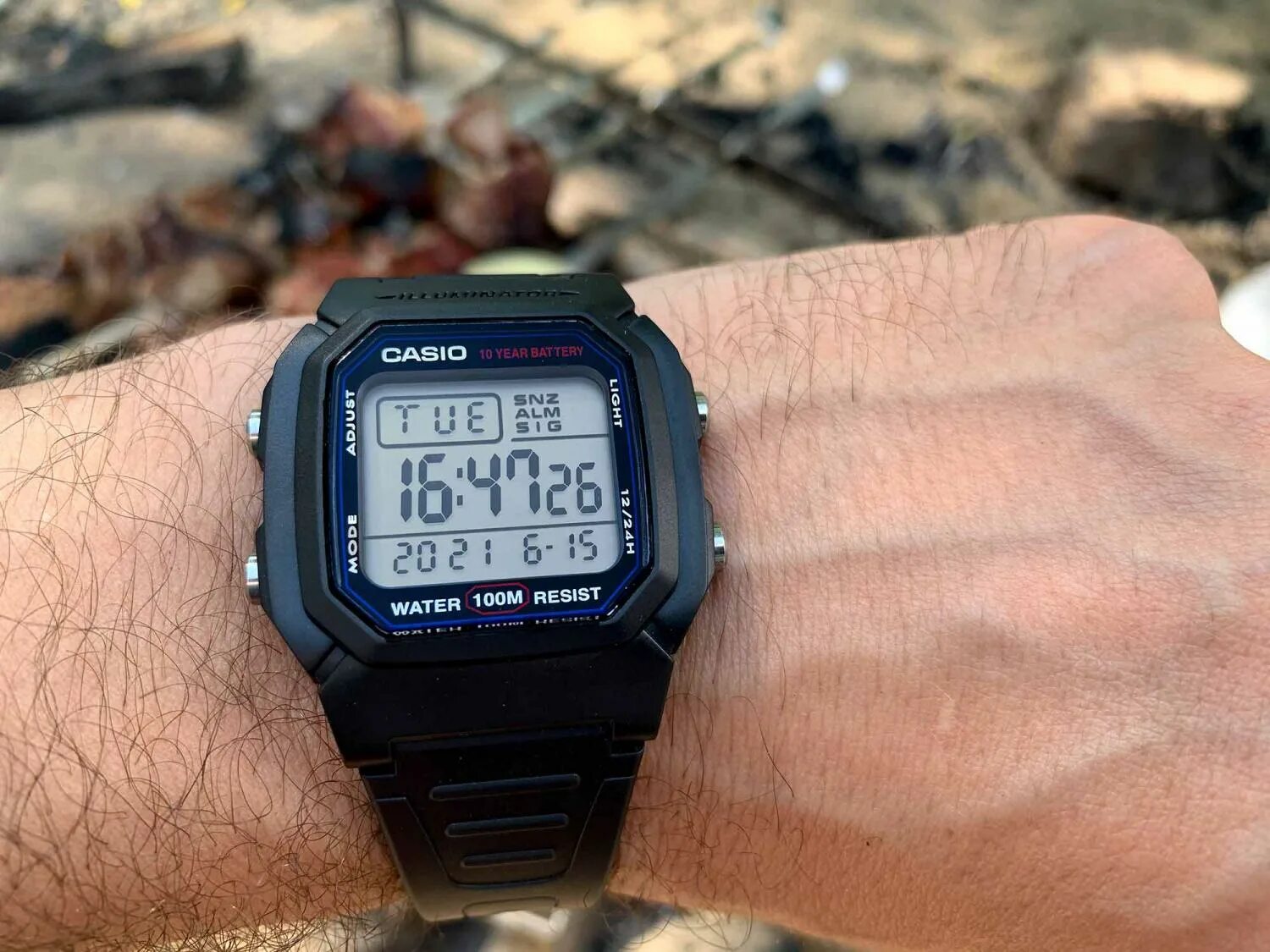 W-800h-1aves. W 800h 1a. W 800h 1a. W 800h 1a. W 800h 1a.