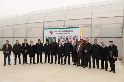Погода октепа
