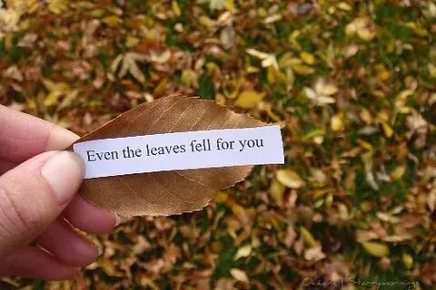 Lover leaves