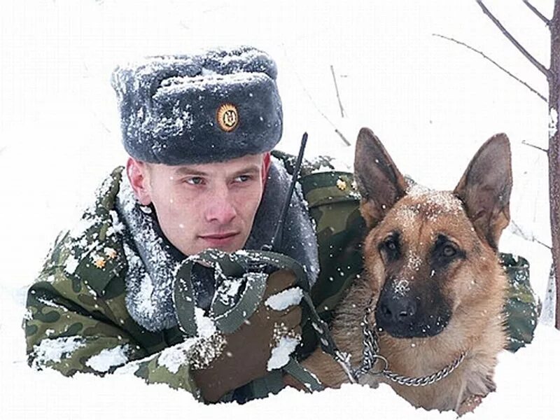 Пограничная собака. Военный пограничник. Пограничник с собакой.