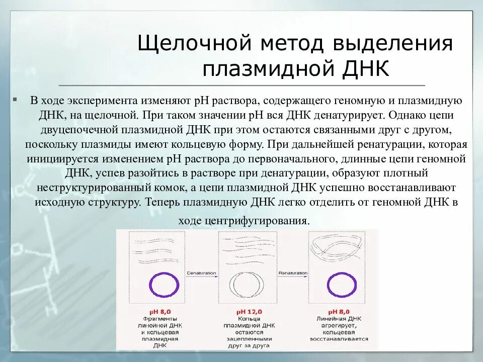 Очистка плазмид. Выделение плазмидной ДНК щелочным методом. Методы выделения и очистки ДНК. Щелочной метод выделения ДНК. Методы выделения геномной ДНК.