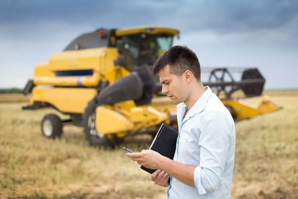 бизнесмен в поле. сельское хозяйство фермерство. бизнесмен в поле. молодой фермер. бизнесмен спиной в пшеничном поле.
