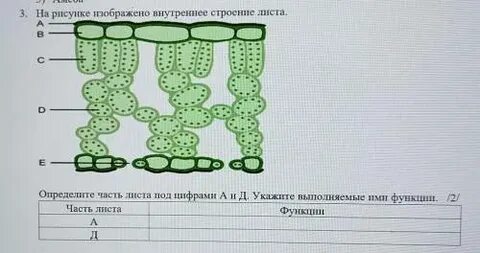 Узнано под цифрой 2