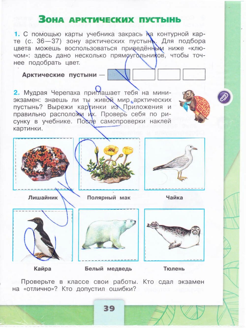 Окружающий мир 4 класс печатная тетрадь плешаков. Окружающий мир 4 класс рабочая тетрадь 1 часть Плешаков Крючкова. Окружающий мир 4 класс рабочая тетрадь Плешаков Крючкова.