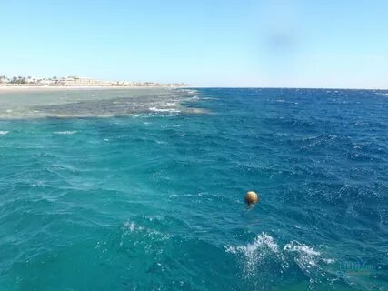 Какой берег на красном море