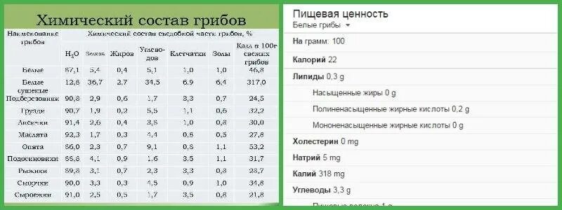 Шампиньоны это белок. Состав грибов шампиньонов химический таблица. Пищевая ценность грибов таблица. Энергетическая ценность грибов таблица. Химический состав и пищевая ценность грибов.