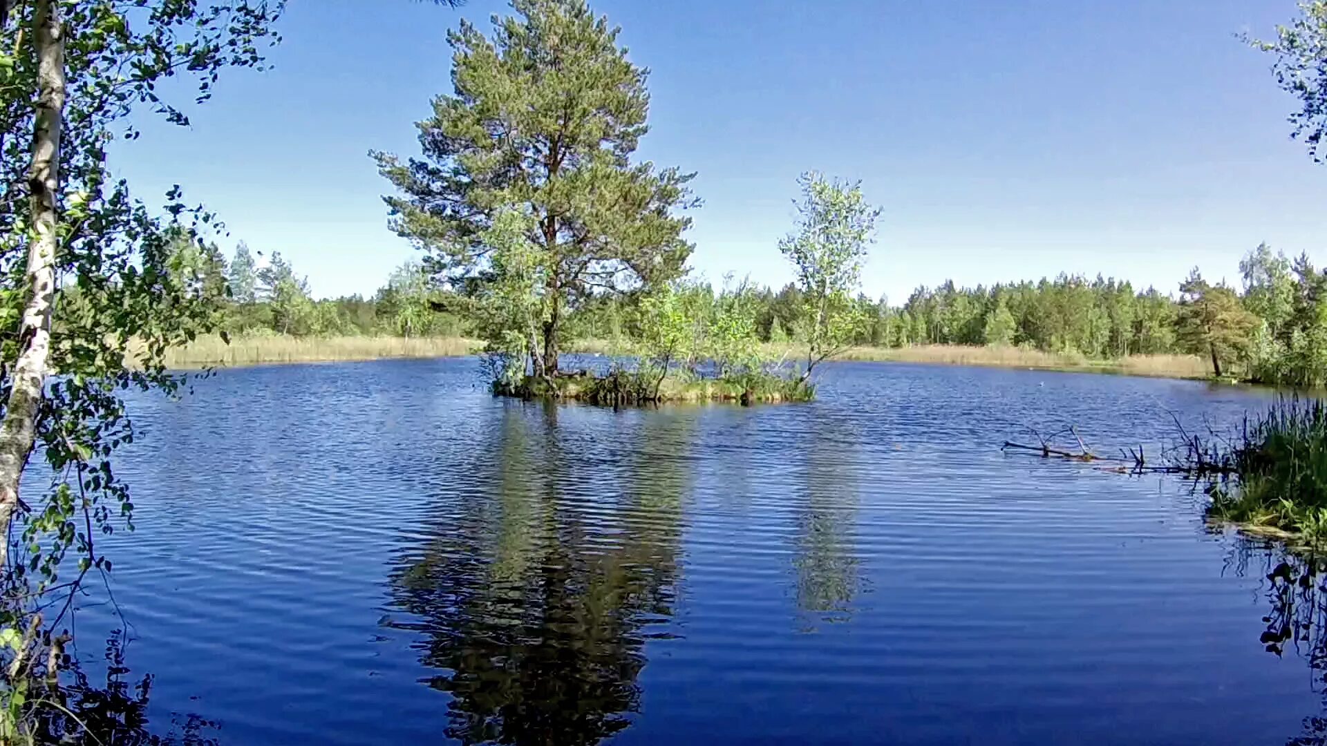 Рп5 озерах. Рп5 озерах. Рп5 озерах. Рп5 озерах. Rp5.