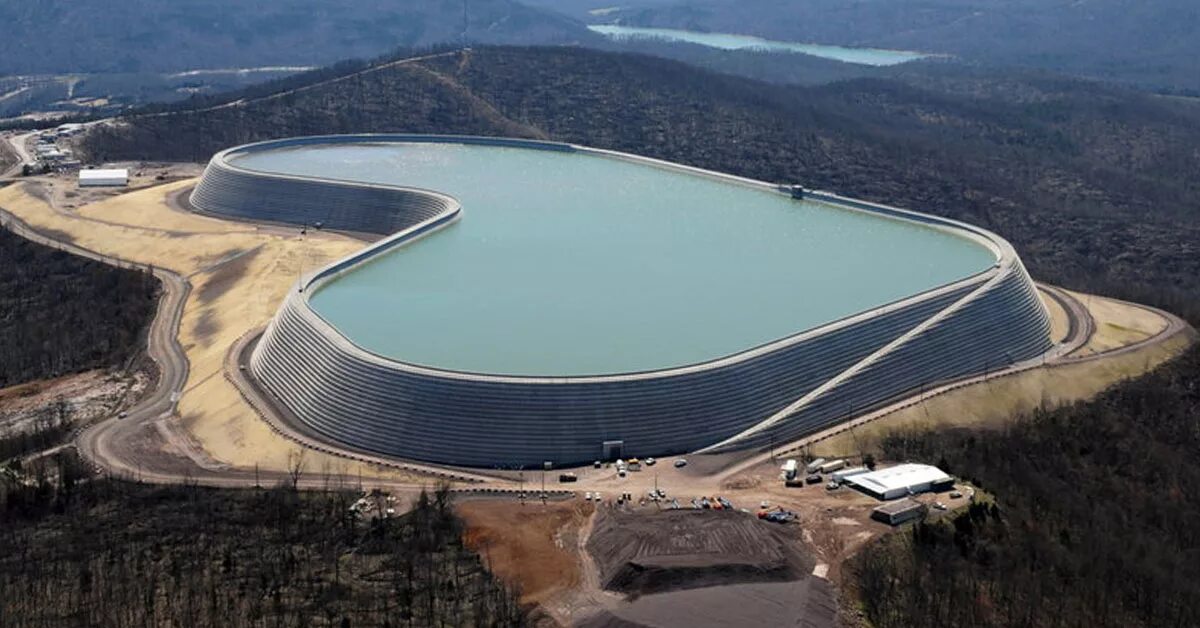 Естественные тела и искусственные тела. Синтетическая бактериальная клетка. Искусственные тела окружающий. Искусственно выращенные органы из стволовых клеток. Искусственно выращенные органы.