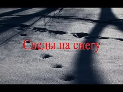 Ночной след