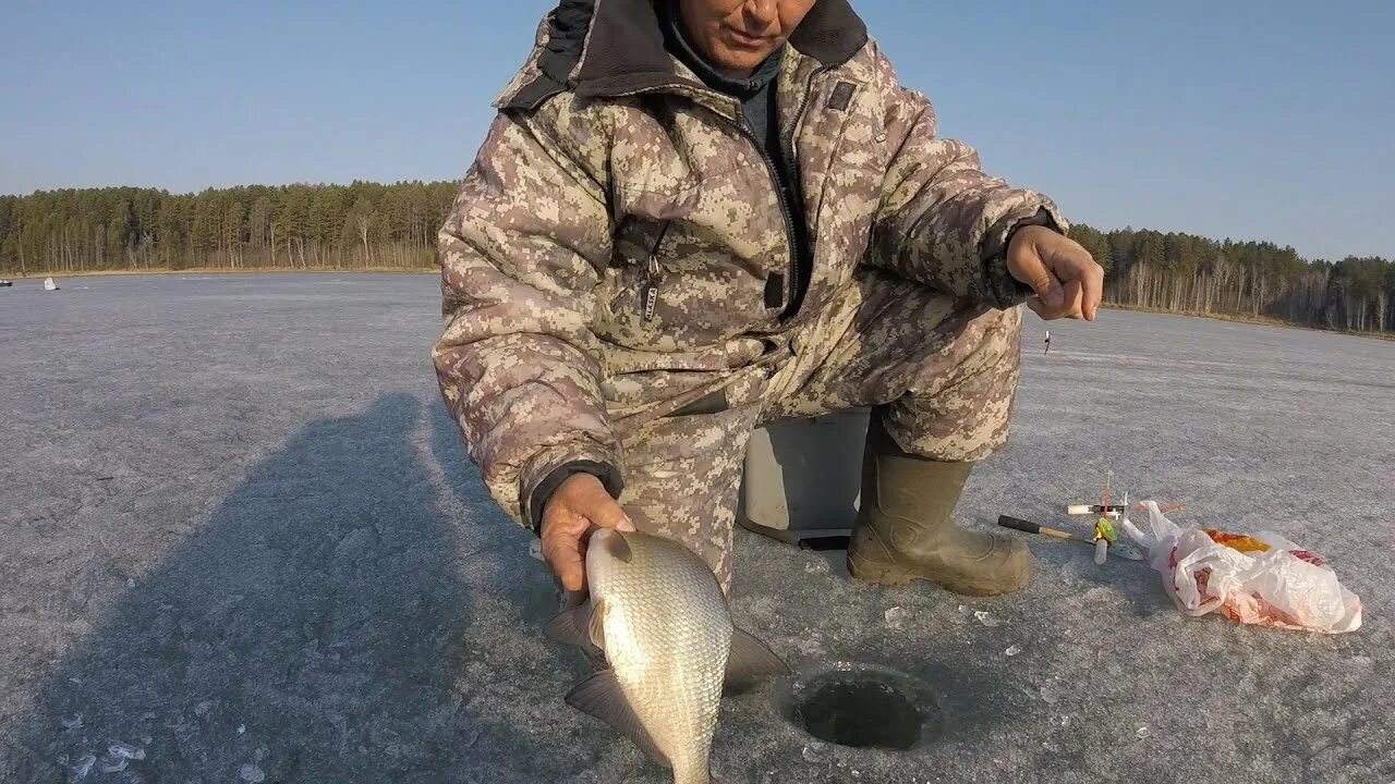 Бешеный клев. Рыбалка в апреле. Зимняя рыбалка на крупного окуня бешеный клев.