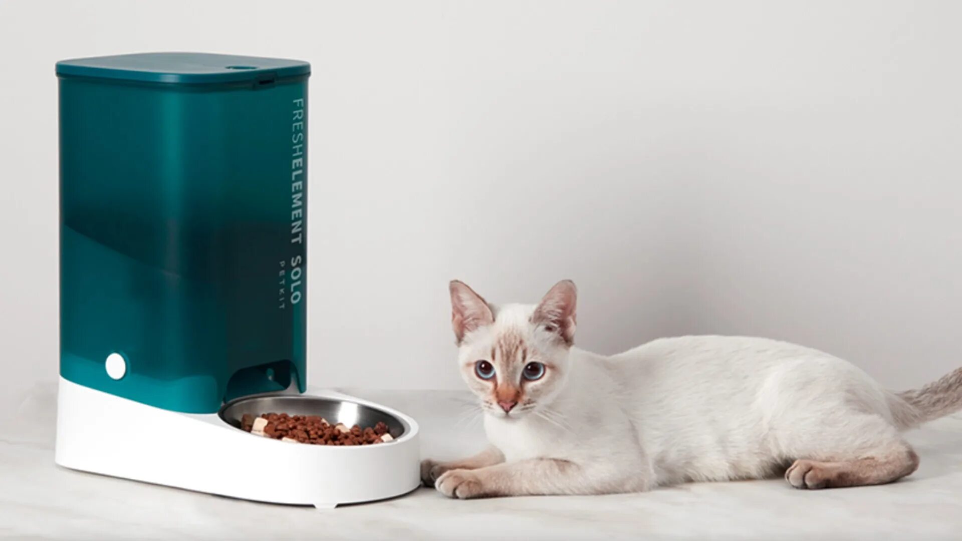 Feeds smart. Xiaomi pet feeder. smart pet feeder c1. кормушка для кошек xiaomi. автокормушка для кошек xiaomi.