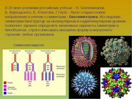 Симметричное строение