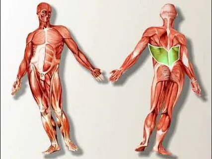 Ресейлік студент қыздардың жеке суреттері.