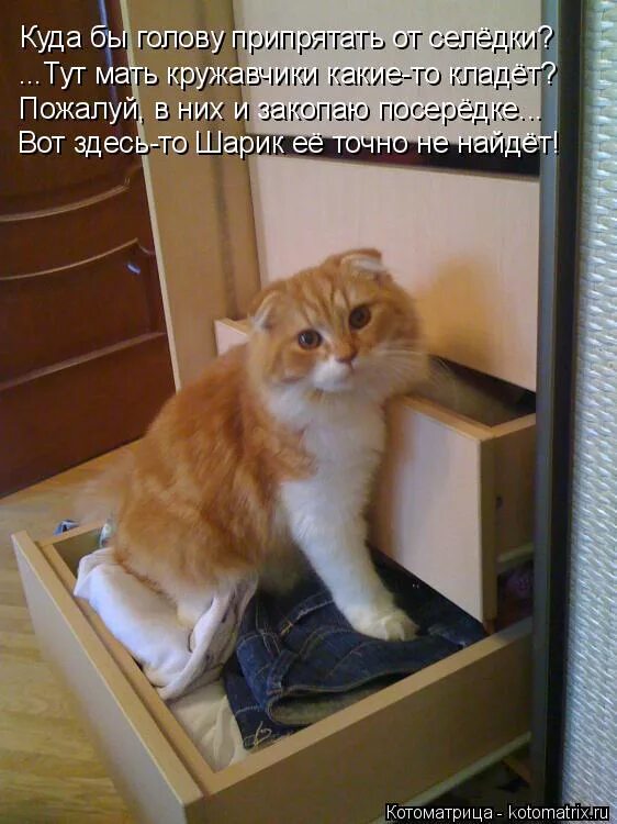 мемы про маму и дочь. папа где мама. мать и дочь как сестры. мем заходит в комнату. где тут мама.