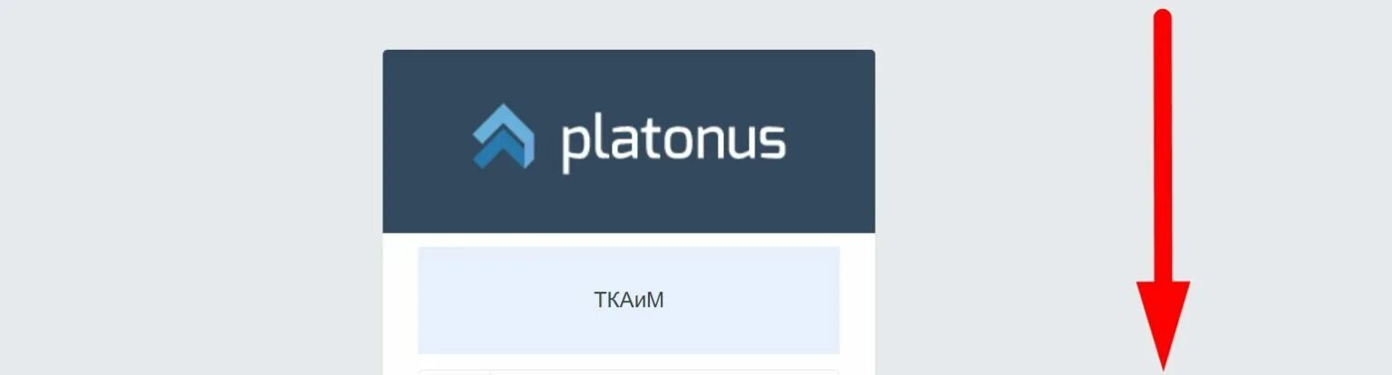 Платонус алт. Ukma platonus. Platonus wkau. Колледж platonus. Платонус казнау.