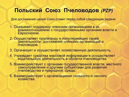 Союзы польши