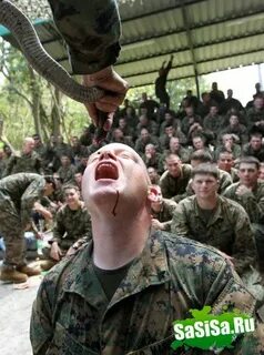 Рот боец