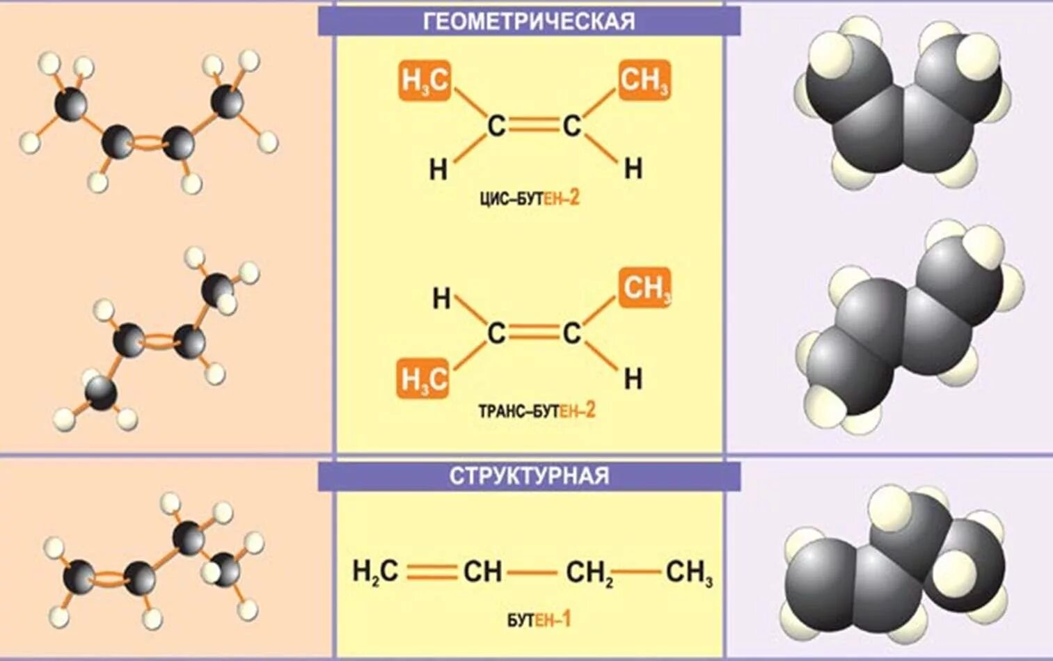 Геометрическая формула молекулы алкенов. Пространственное строение бутена. Цис изомер бутена 2. Бутен-2 (цис-изомер) модель. Транс бутан