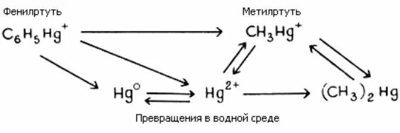 Ртуть схема. Метилртуть. Реакция метилирования ртути. Схема превращений металлов. Ртуть трансформация.