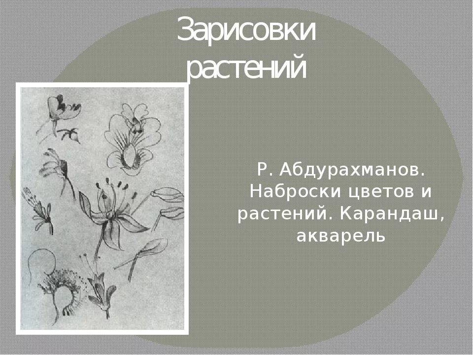 Рисунок основа изо. Рисунок основа изо