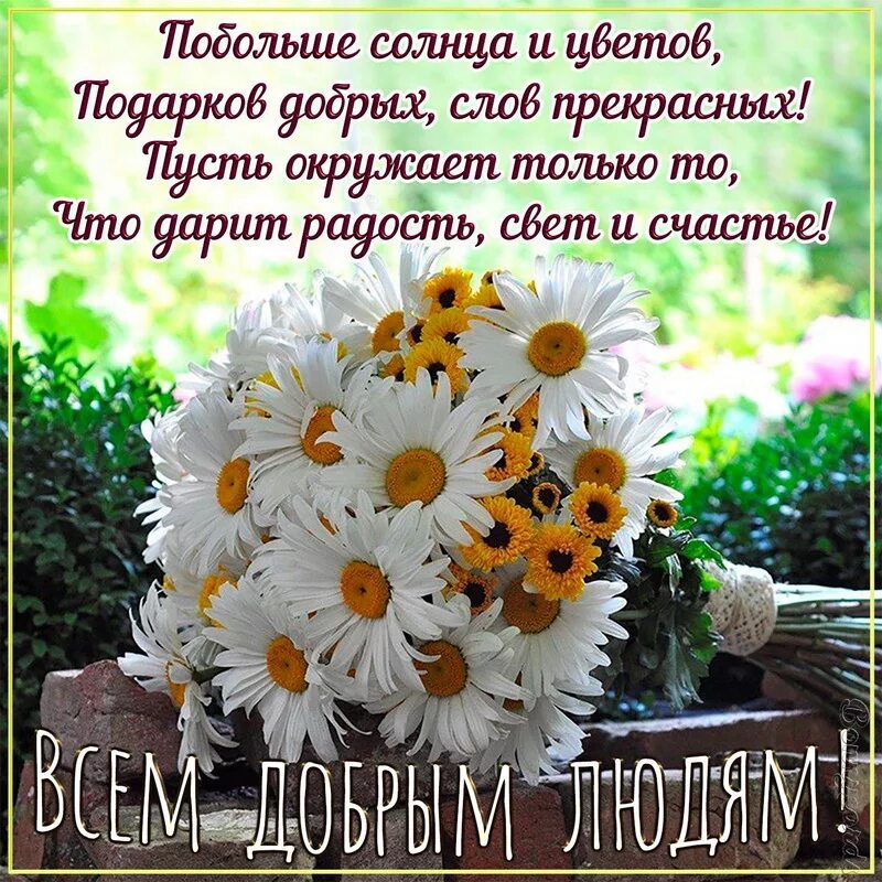 Пожелание доброго дня в стихах. Красивые пожелания с добрым. Букеты ромашек с пожеланиями. Пожелания с добрым летним утром.