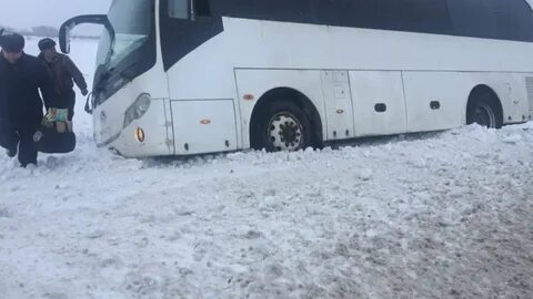 Автобус барнаул ребриха