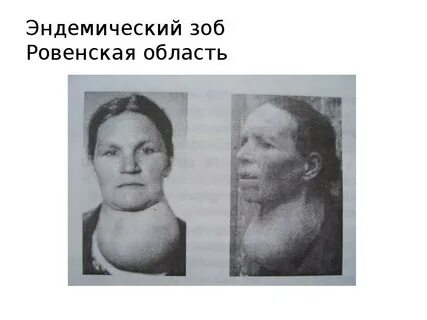 Бірнеше мүшесі және үлкен сиськи порно