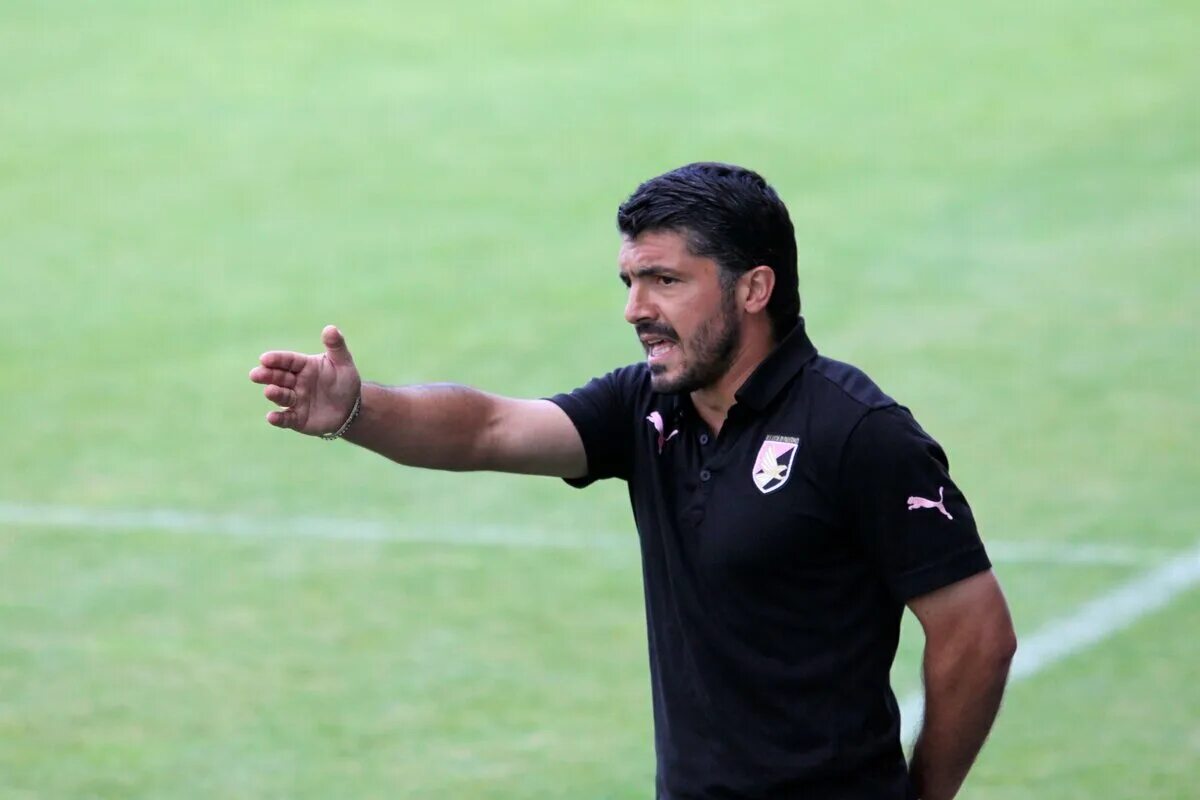 Creep gattuso