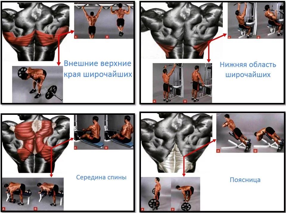 Упражнения на широчайшие мышцы в тренажерном зале. Прокачка широчайших мышц спины в тренажерном зале. Упражнения чтобы накачать широчайшие мышцы спины. Упражнение для широчайшей мышцы спины в тренажерном зале. Широкая спина упражнения в зале