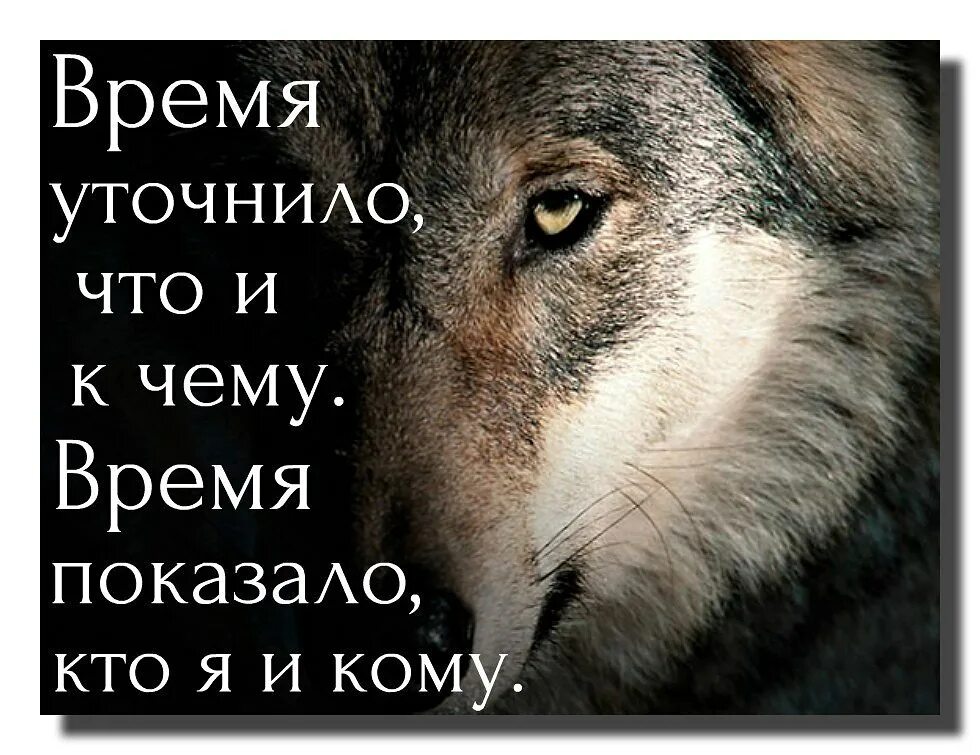 Кому то брат кому то жизнь. Со временем понимаешь цитаты. Цитаты со смыслом люди познаются в беде. Время покажет цитаты. Время все покажет цитаты.