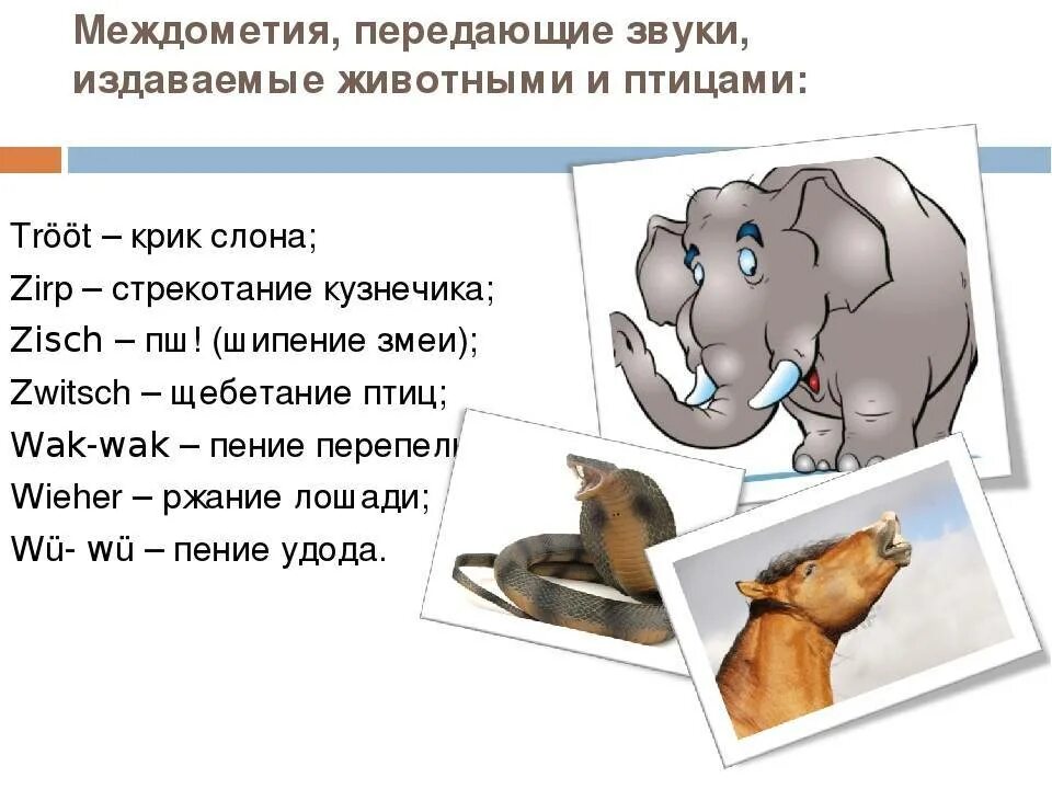 Программа издающая звуки. Какие животные какие звуки издают. Звуки издаваемые животными. Животные и звуки которые они издают. Животное издает звуки.