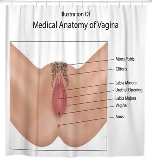 Meat curtains vagina