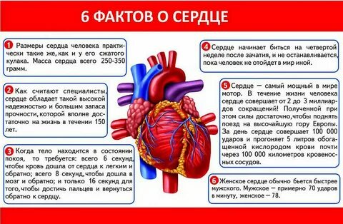 Как понять сердце или нет